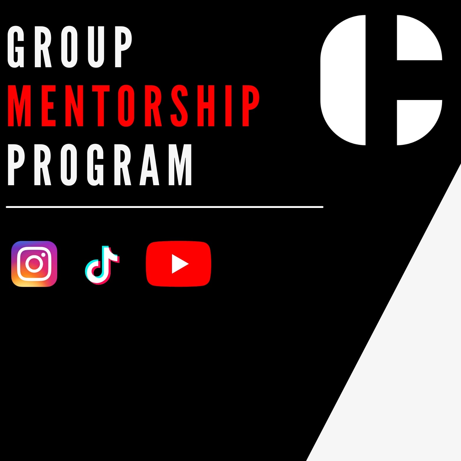 Group Mentorship Program